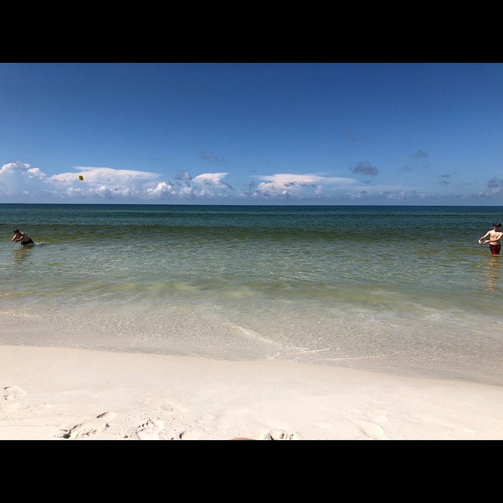 Meet your Posher, Tori